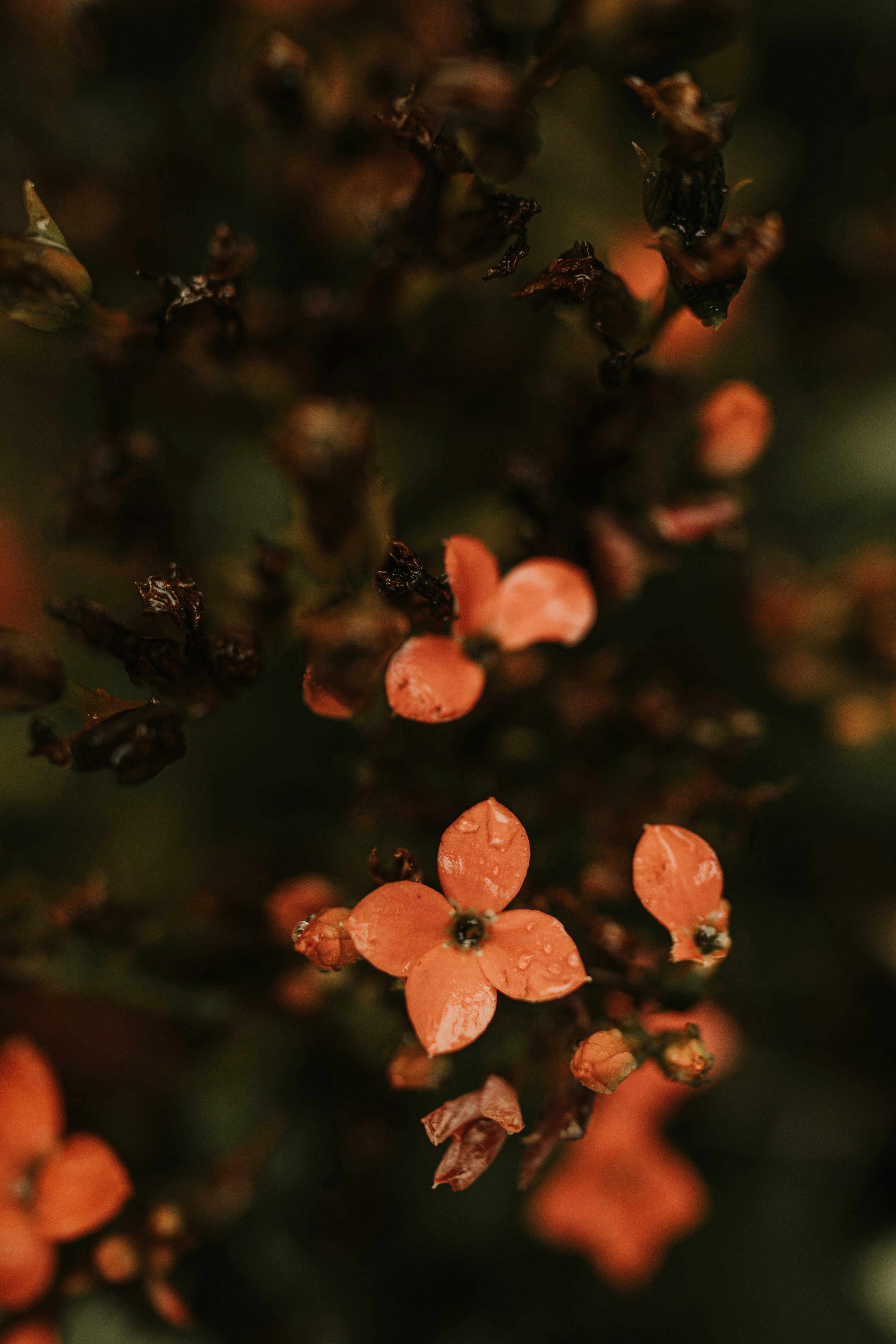 Photo by janu_bekker