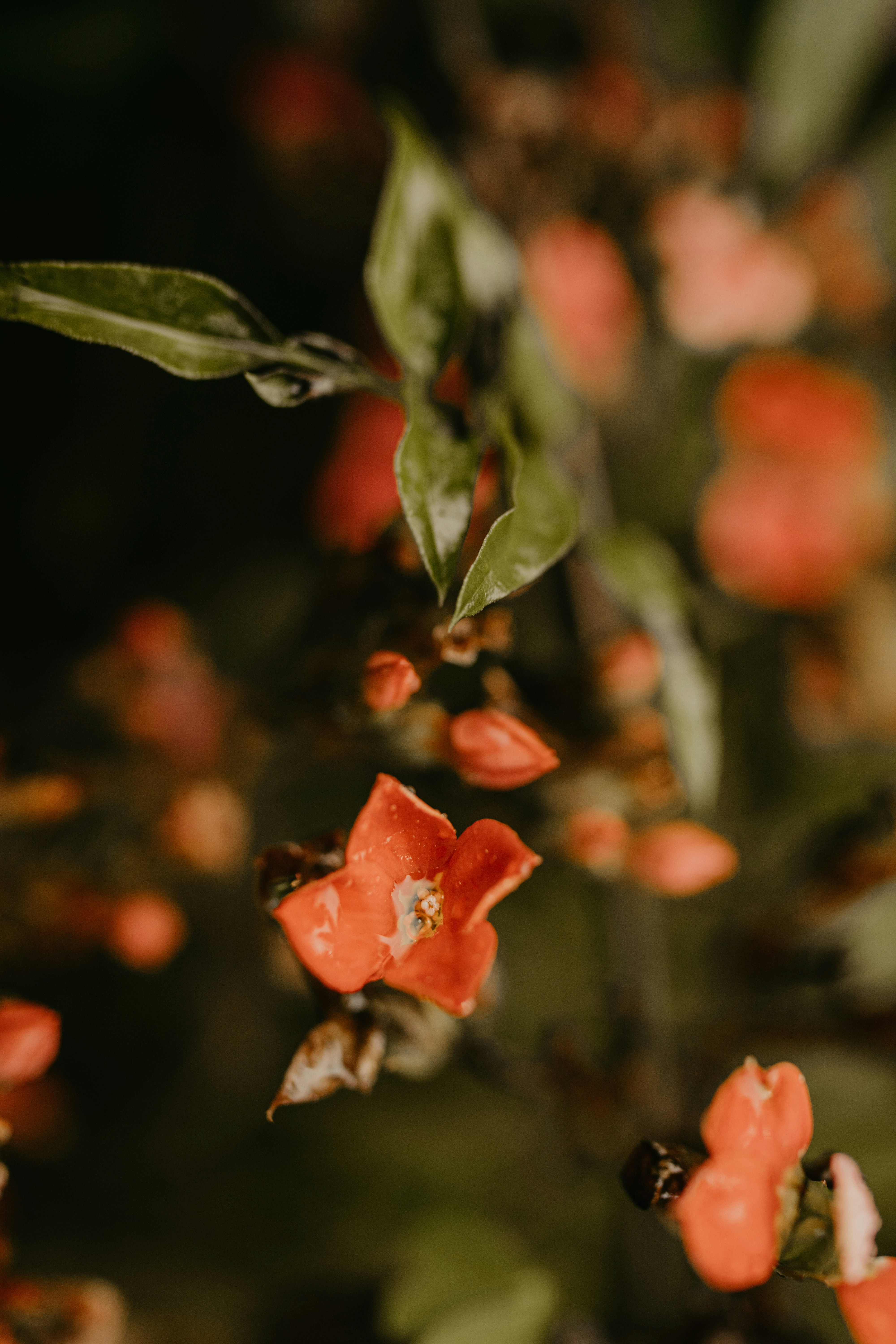 Photo by janu_bekker