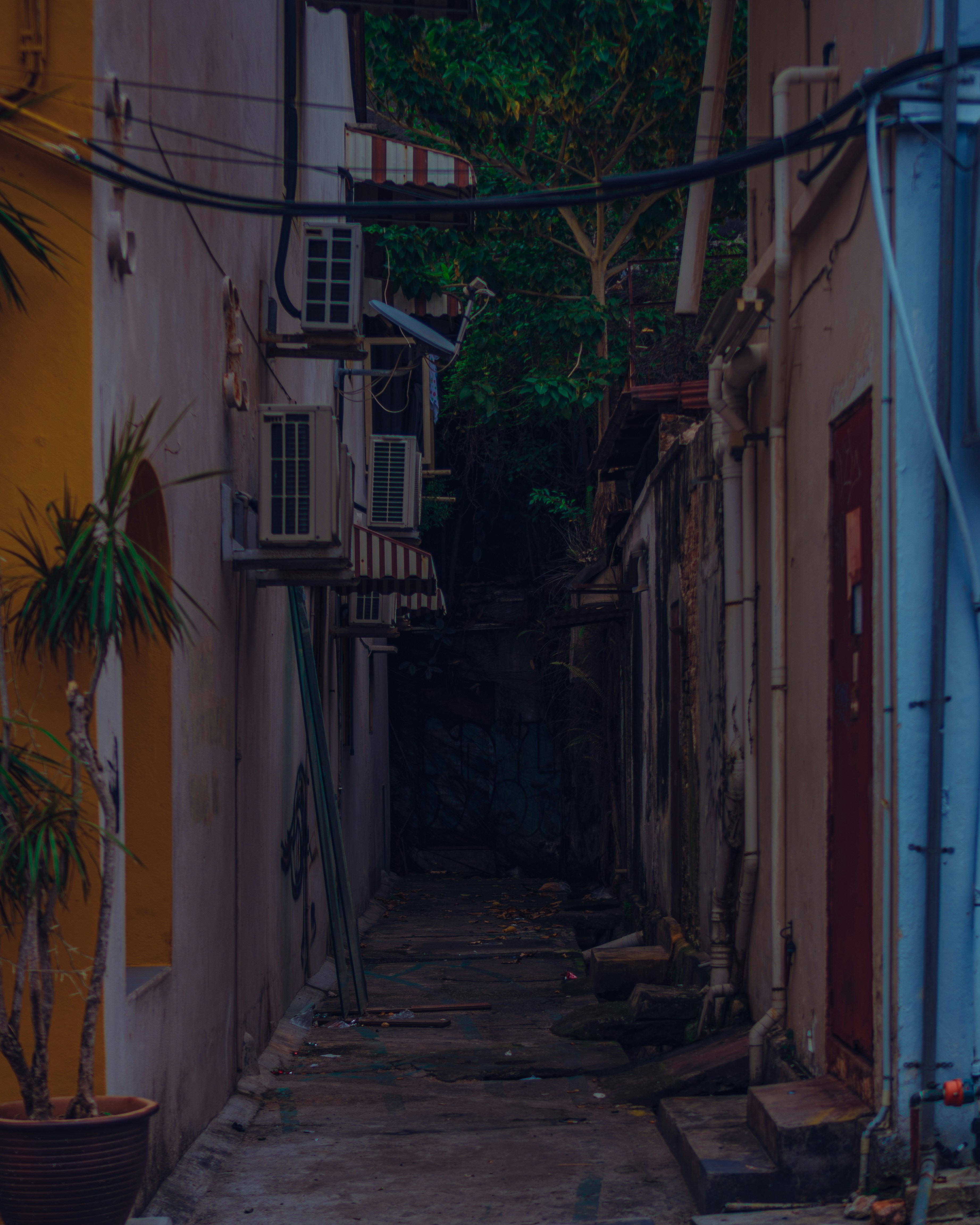 Photo by victoraldabalde