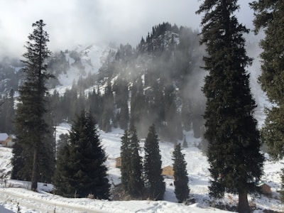 A snowy mountain landscape with tall pine trees scattered throughout. The peaks of the mountains are partially covered in snow, and clouds or mist hover around the treetops. A few small cabins or houses are nestled among the trees at the base of the mountains.