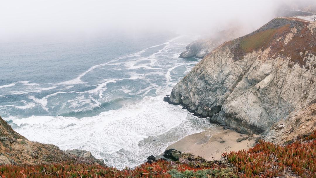 California Dreamin'