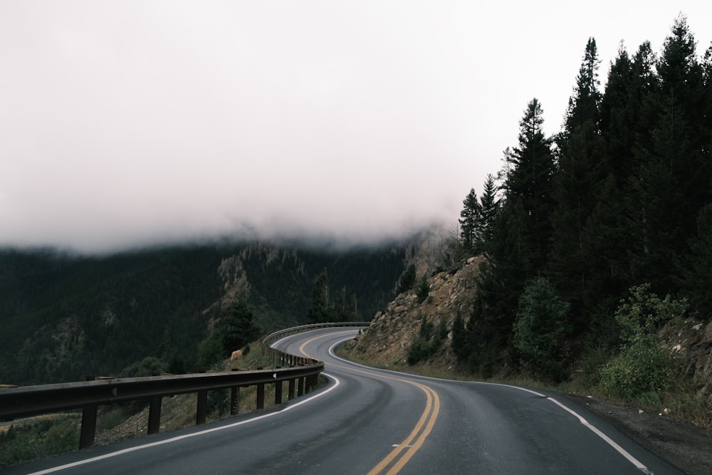 gray concrete road between green trees during foggy day