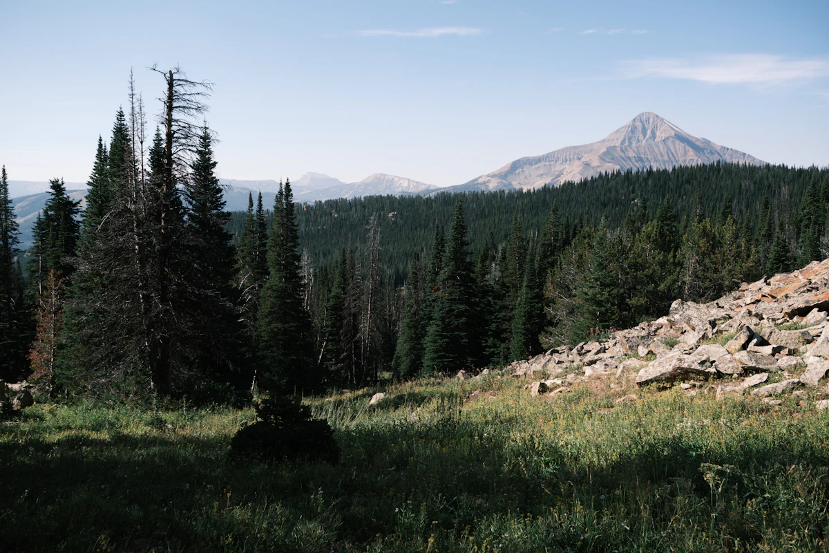 A forest clearing with a pile of talus near Big Sky, and a pointed peak in the distance
