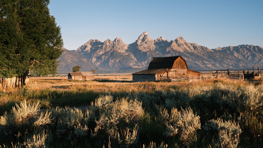 brown wooden house on green grass field near mountain under blue sky during daytime