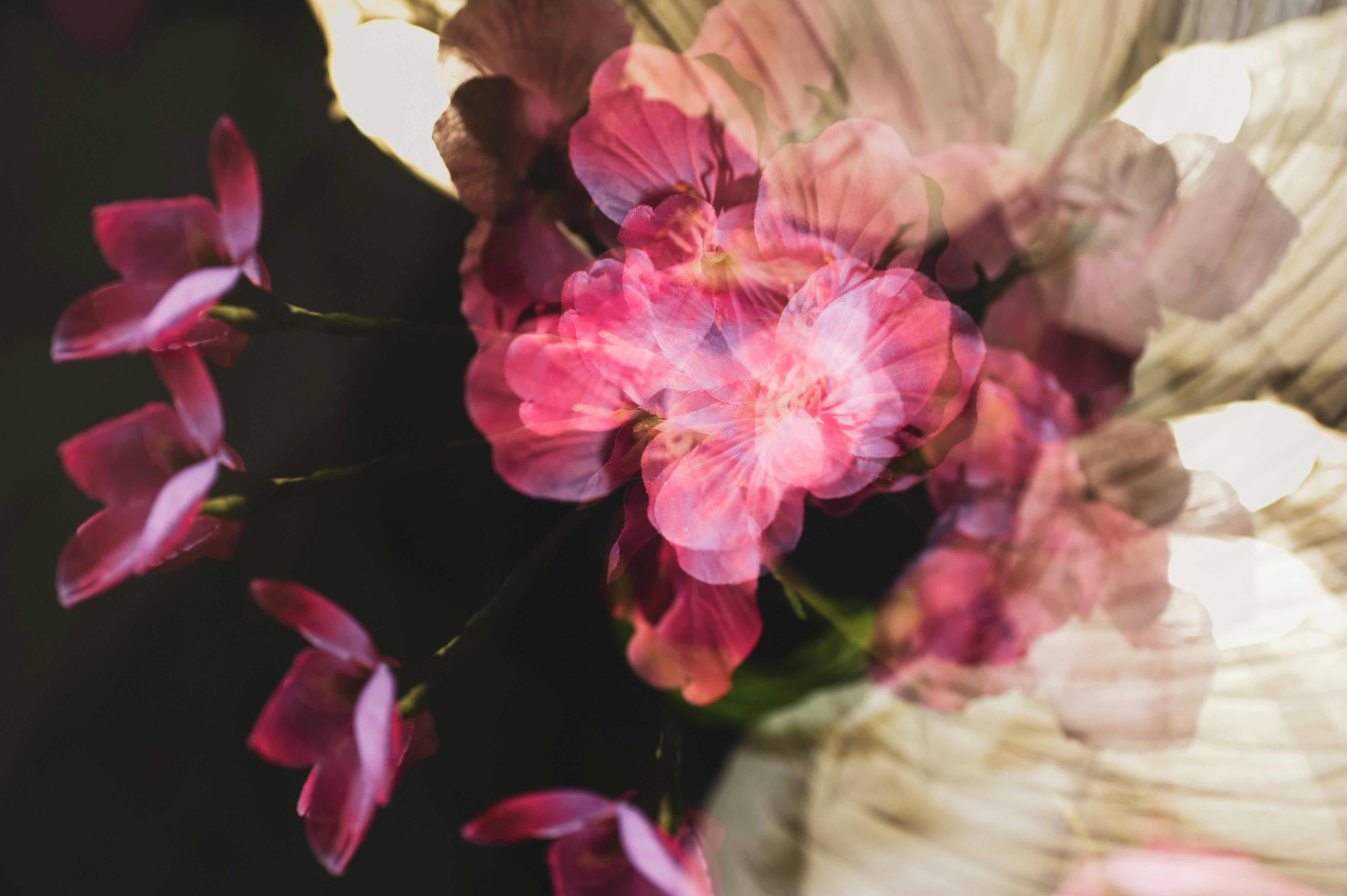 Photo by luisjlara343