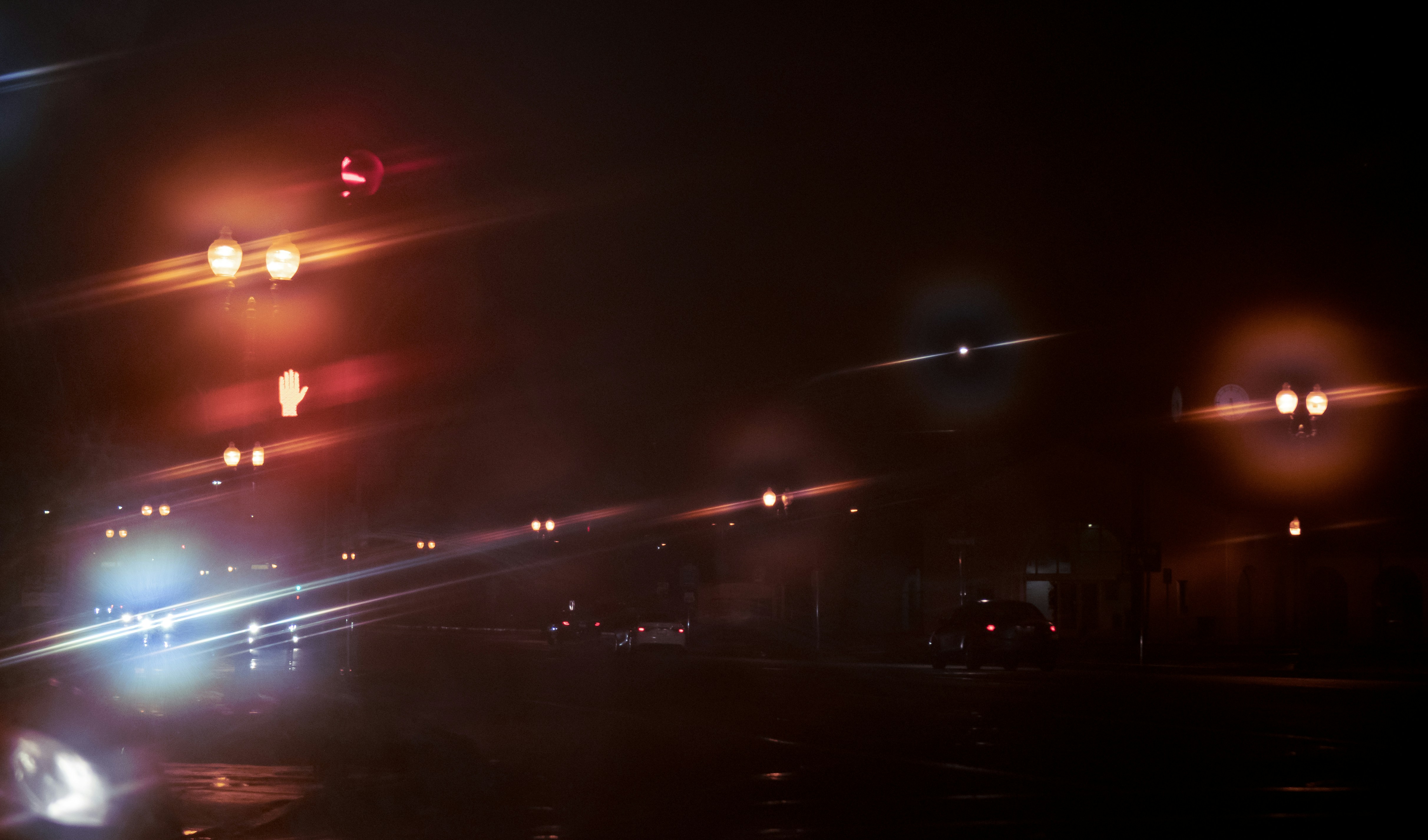 Photo by luisjlara343