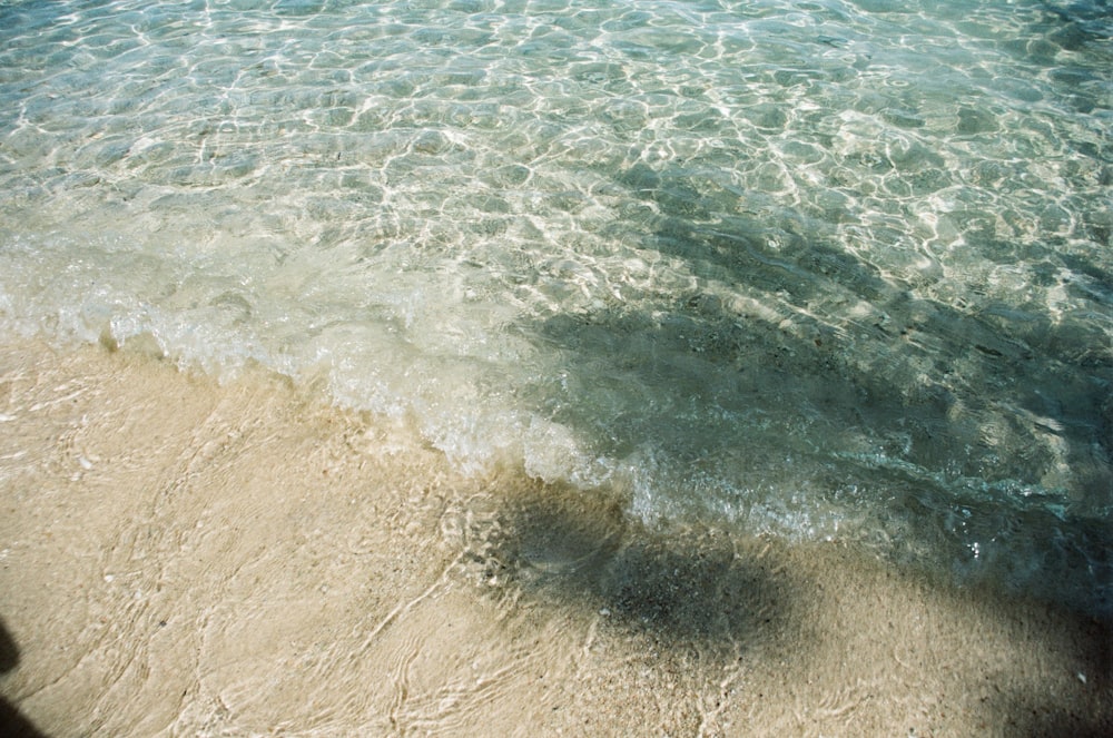 body of water during daytime