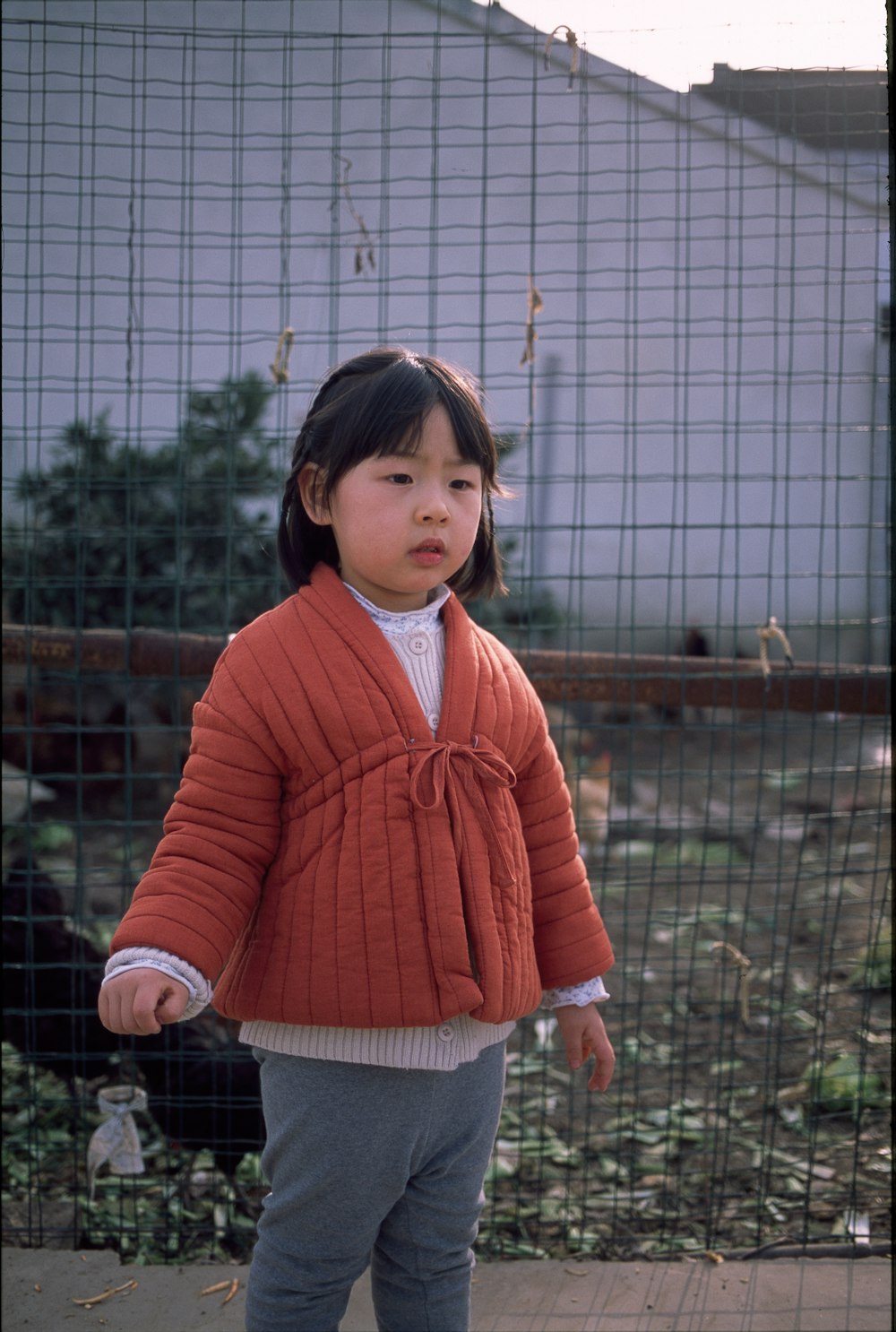 woman in red sweater standing near fence during daytime