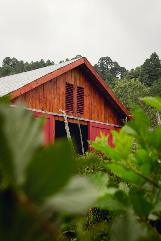 brown wooden house on green grass field during daytime in Tegucigalpa Honduras