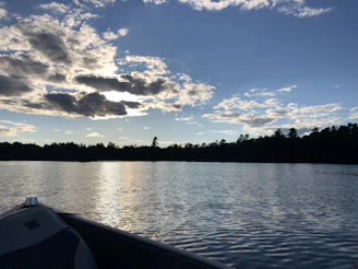 A serene early morning view of Lake Erie with a fishing boat casting lines near the shore.