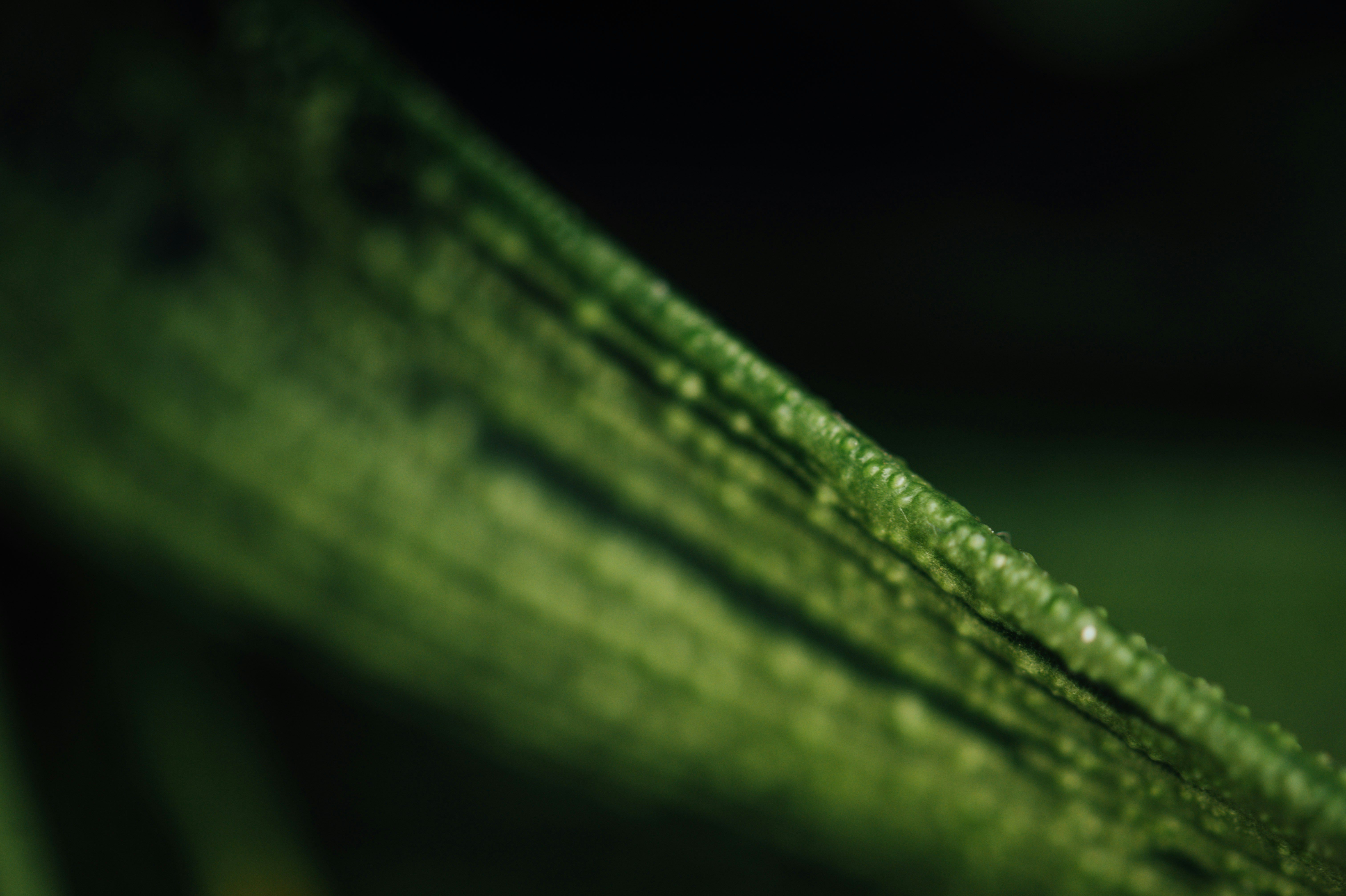 Photo by chuttersnap