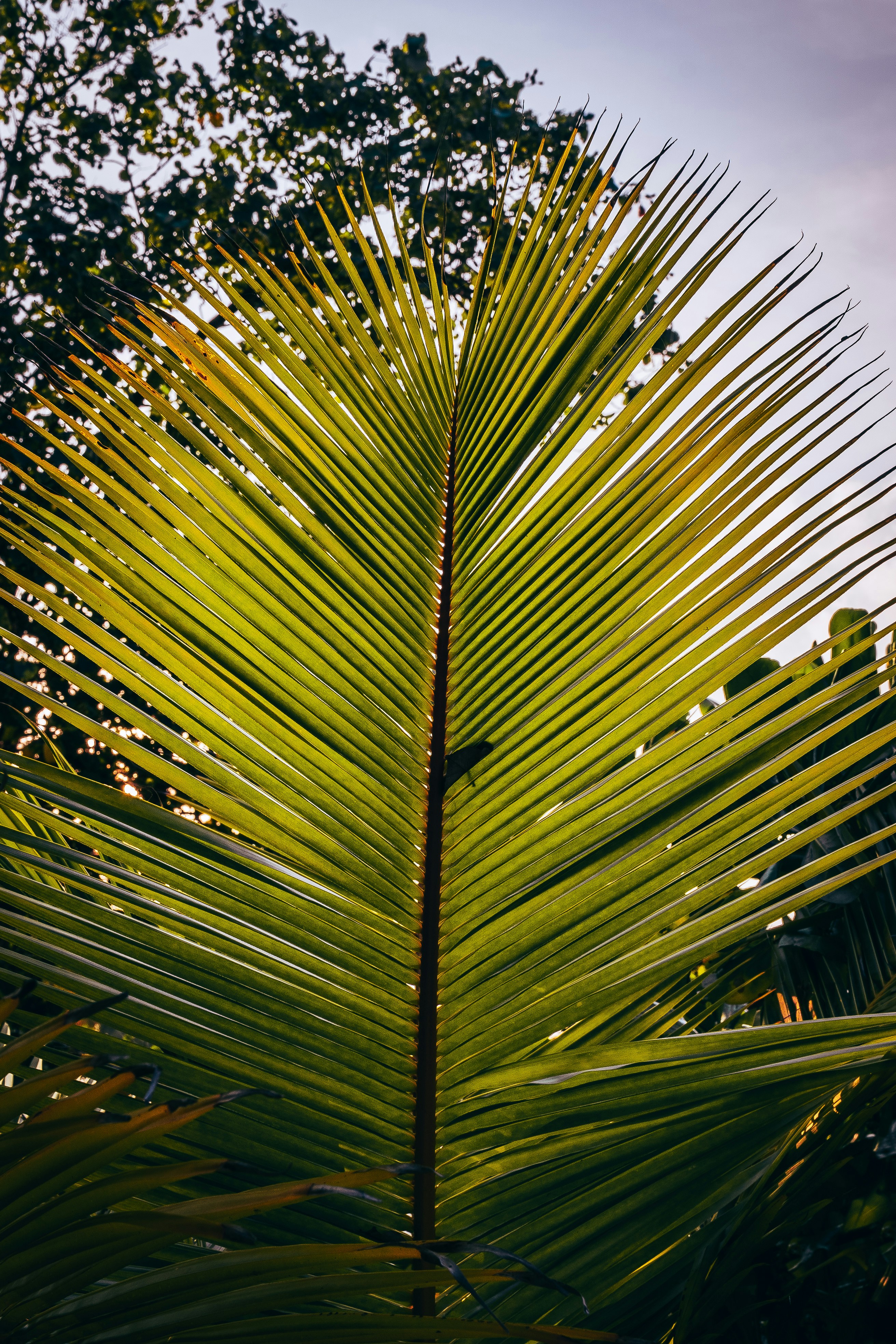 Photo by antesamarzija