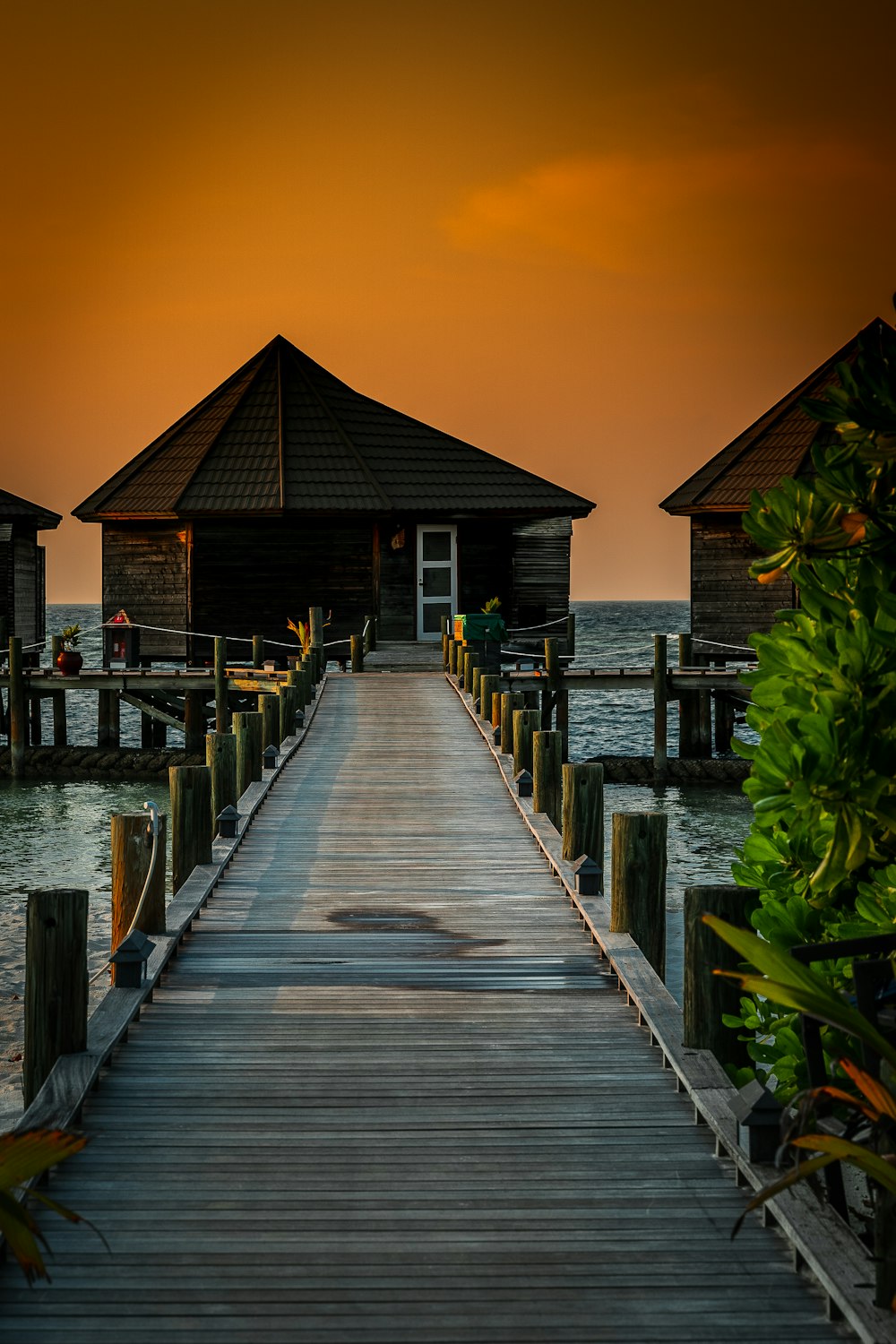 brown wooden dock on body of water during sunset