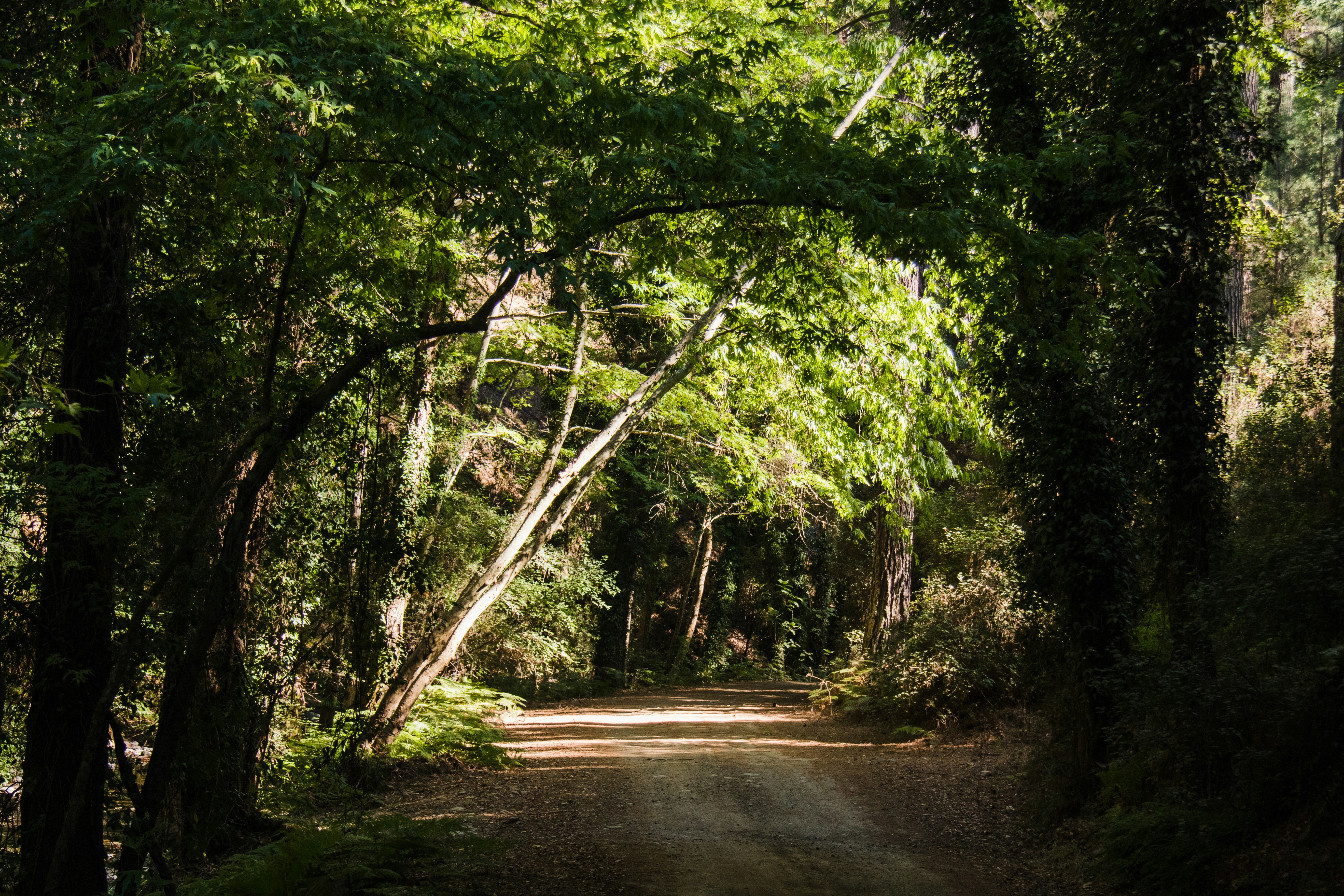 Photo by statikmotion