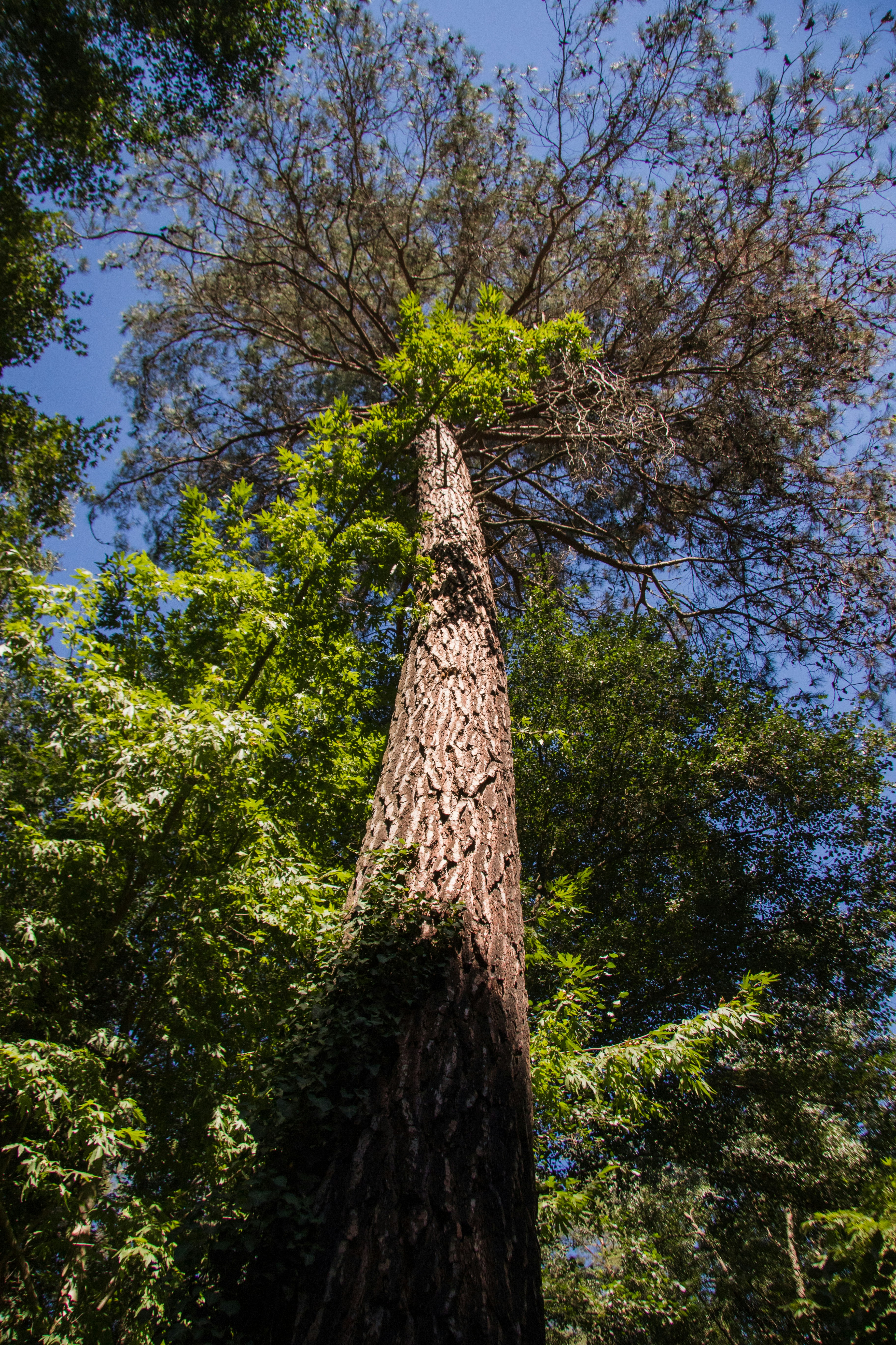 Photo by statikmotion