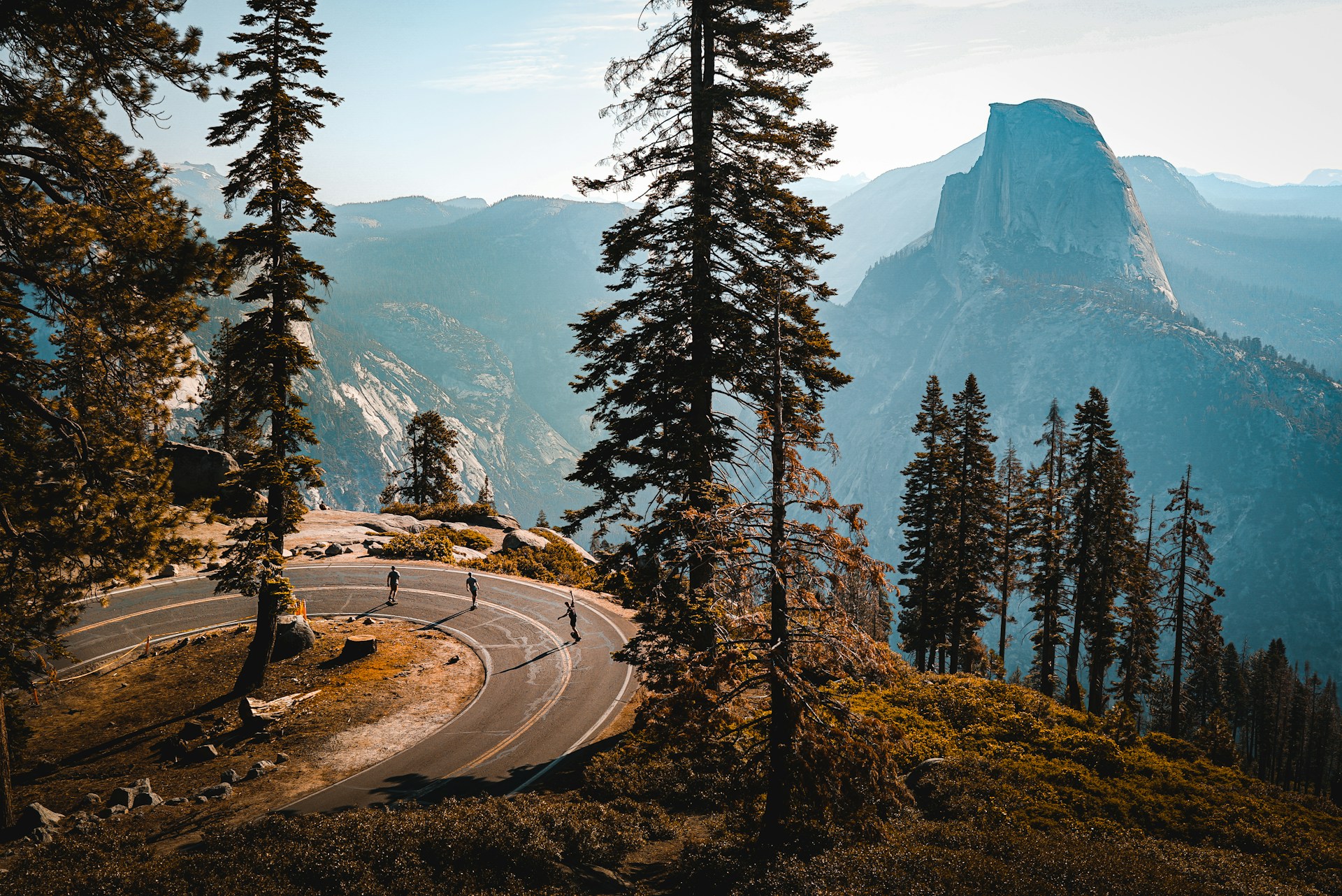 green pine trees near mountain during daytime