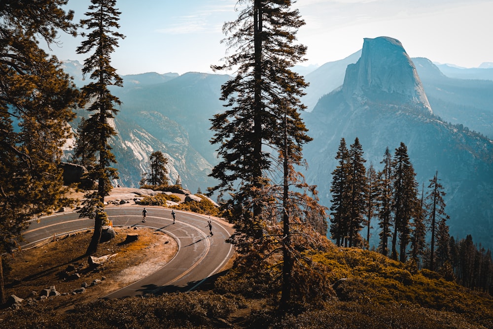 green pine trees near mountain during daytime