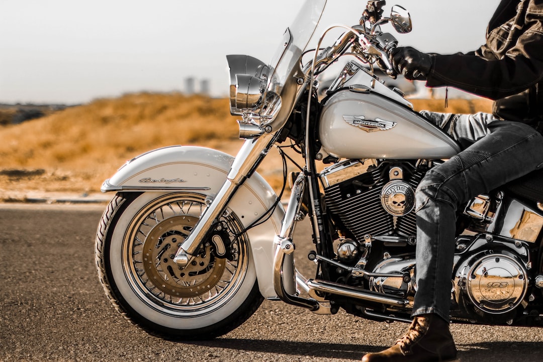 Image for Harley Davidsons service