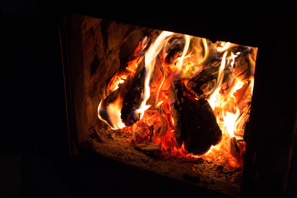 burning wood in fire pit