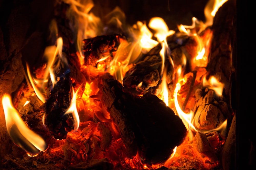 close up photo of burning firewood