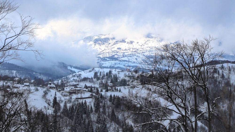 snow covered mountain during daytime