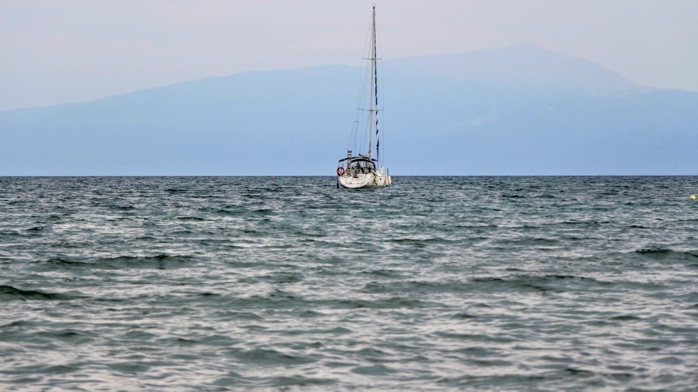 weißes und schwarzes Boot tagsüber auf See