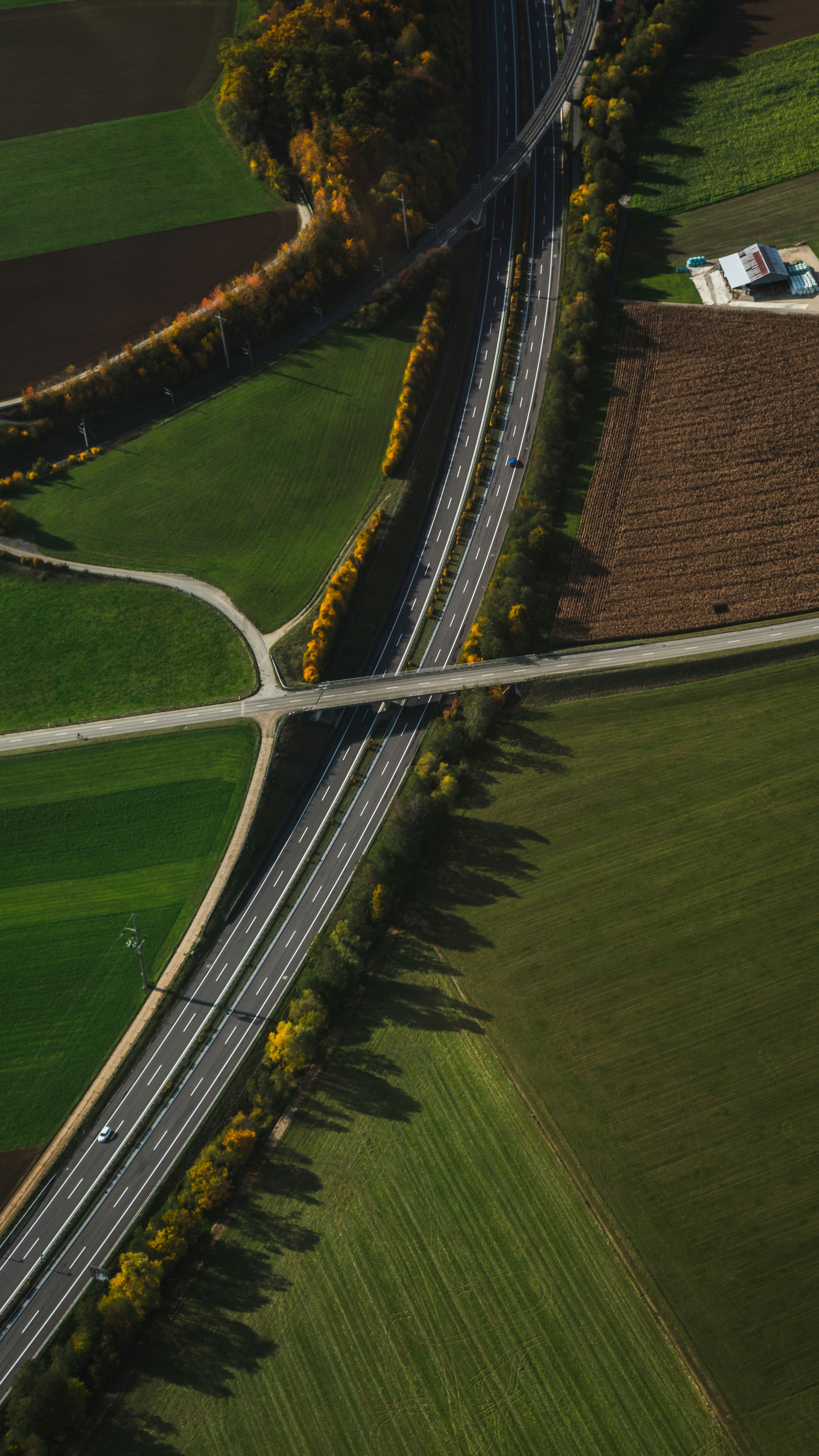 Photo by virussinside