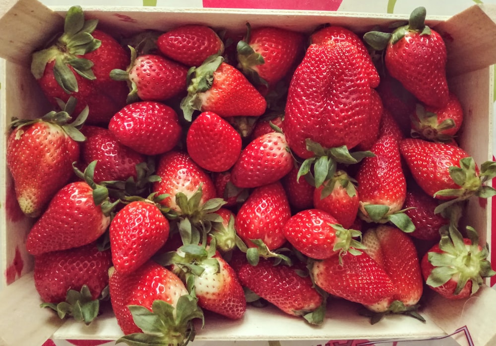 fraises dans un récipient en plastique blanc