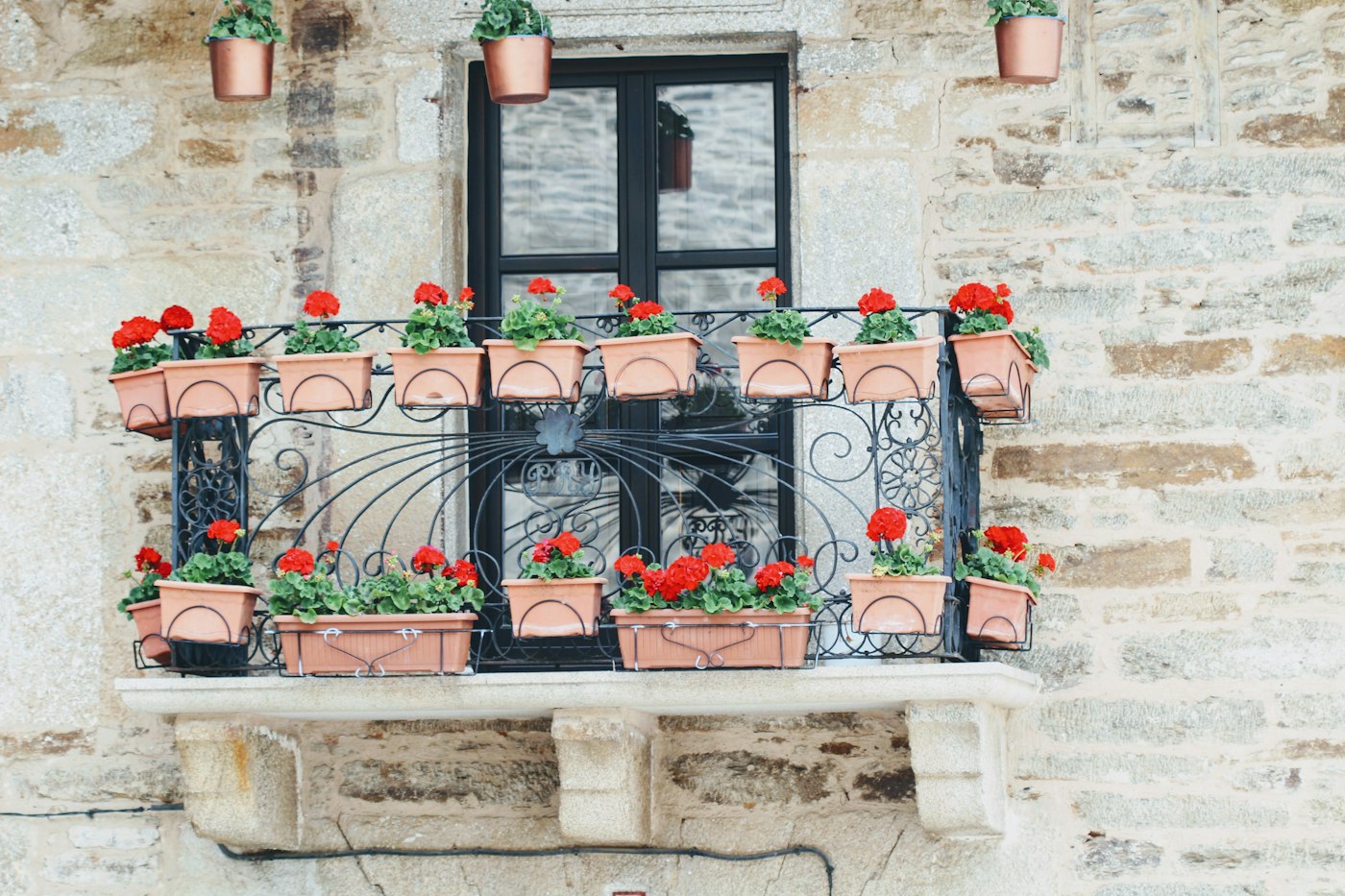 Potted geraniums on a window balcony