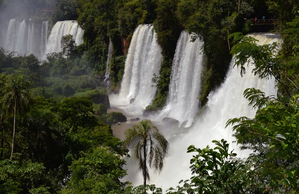 waterfalls in the middle of green trees