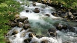 A clear mountain stream winding through charcoal-hued rocks and sage green banks.