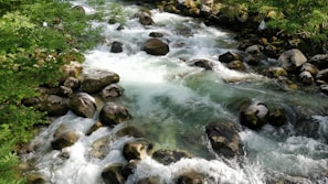 A clear mountain stream winding through charcoal-hued rocks and sage green banks.