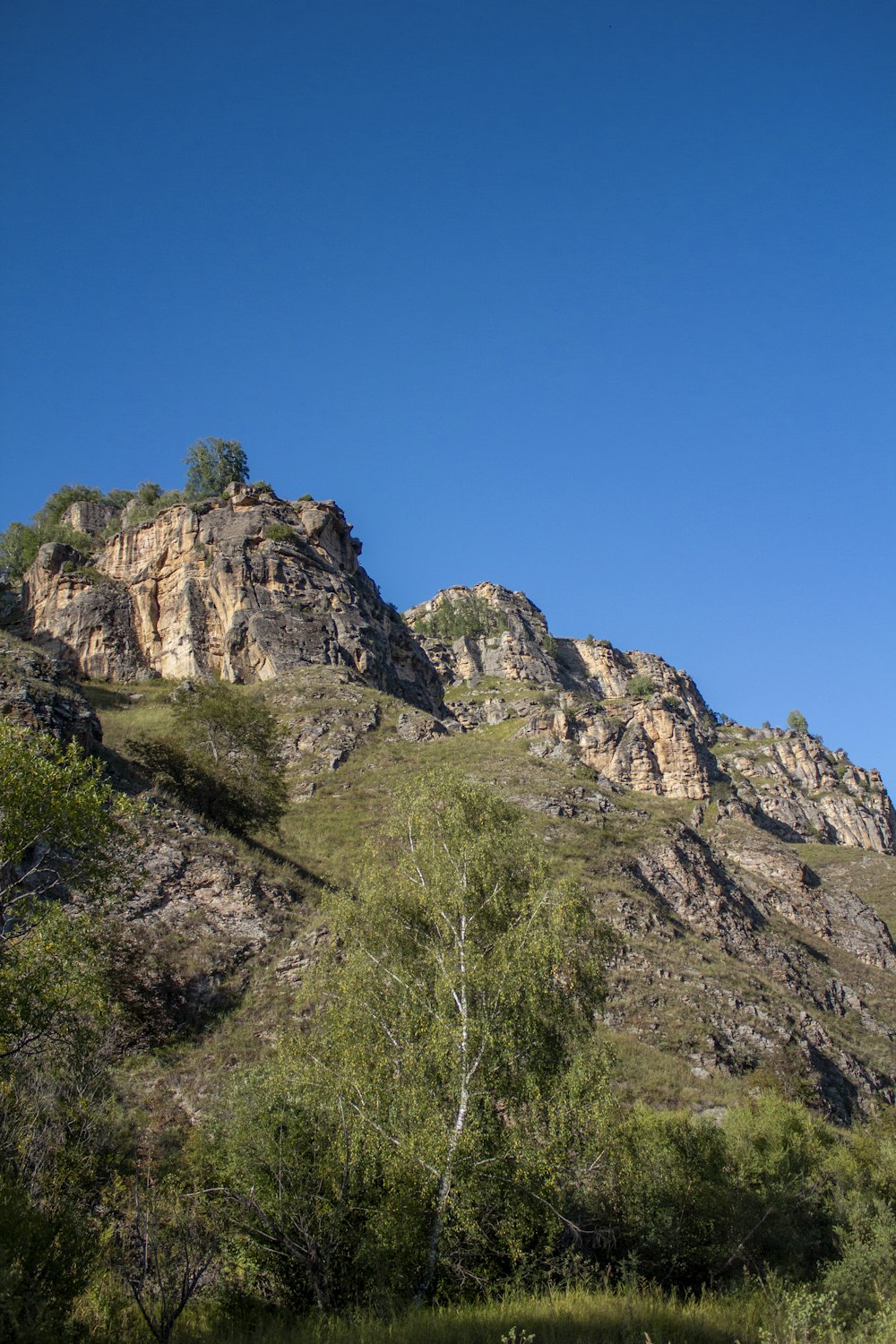 árboles verdes en la montaña rocosa bajo el cielo azul durante el día