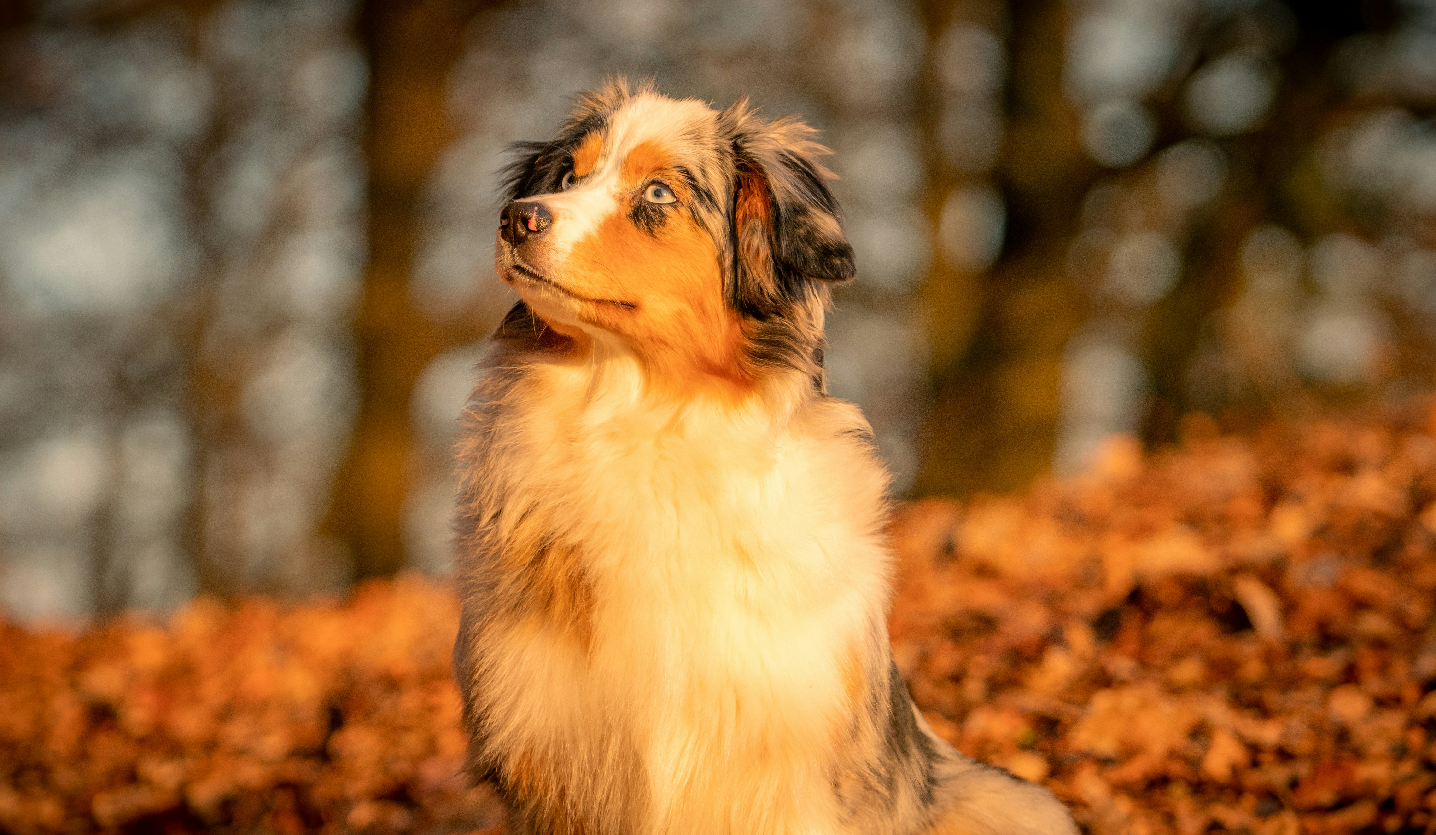 Photo by wndrlst_pctrs