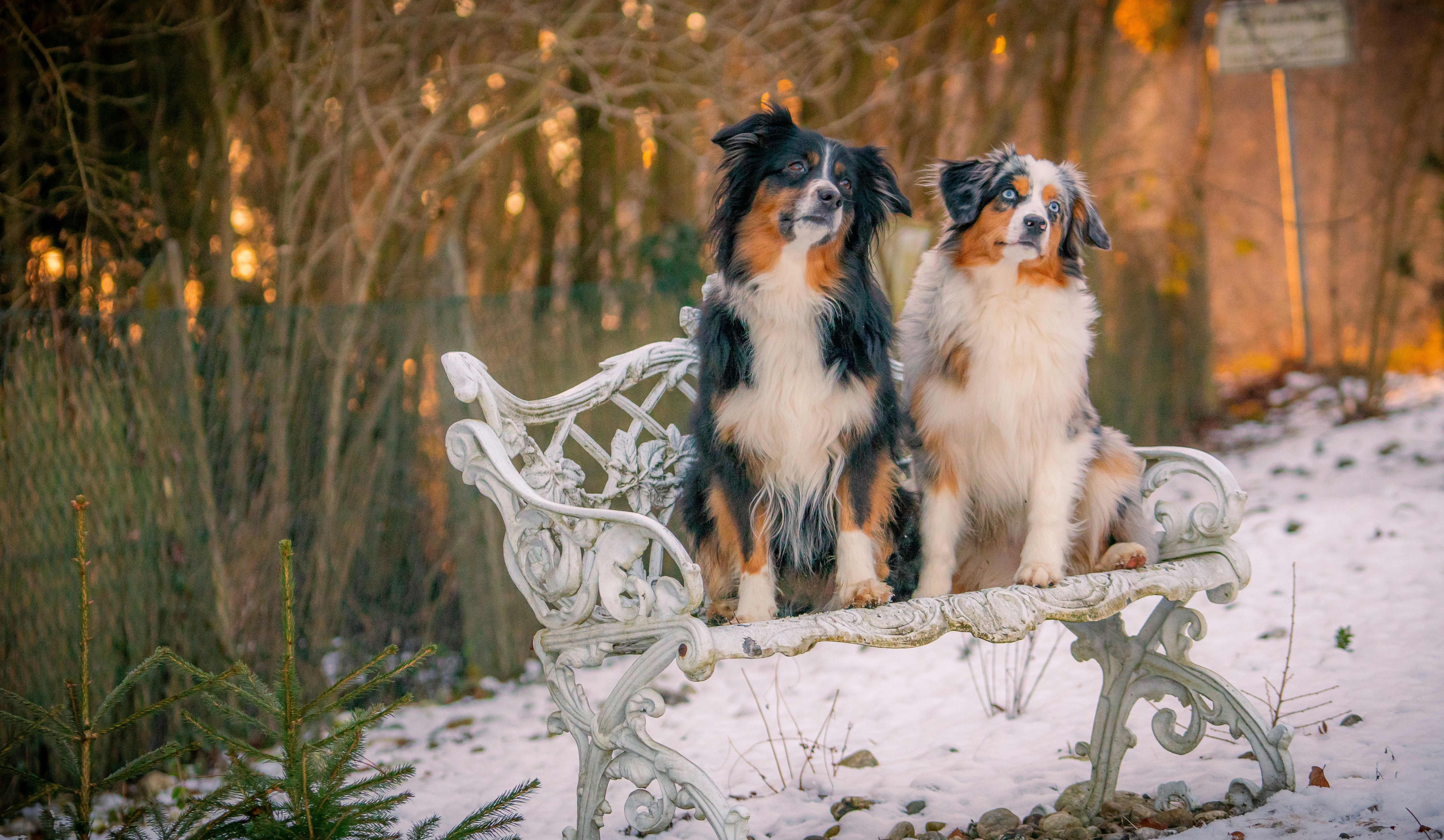 Photo by wndrlst_pctrs