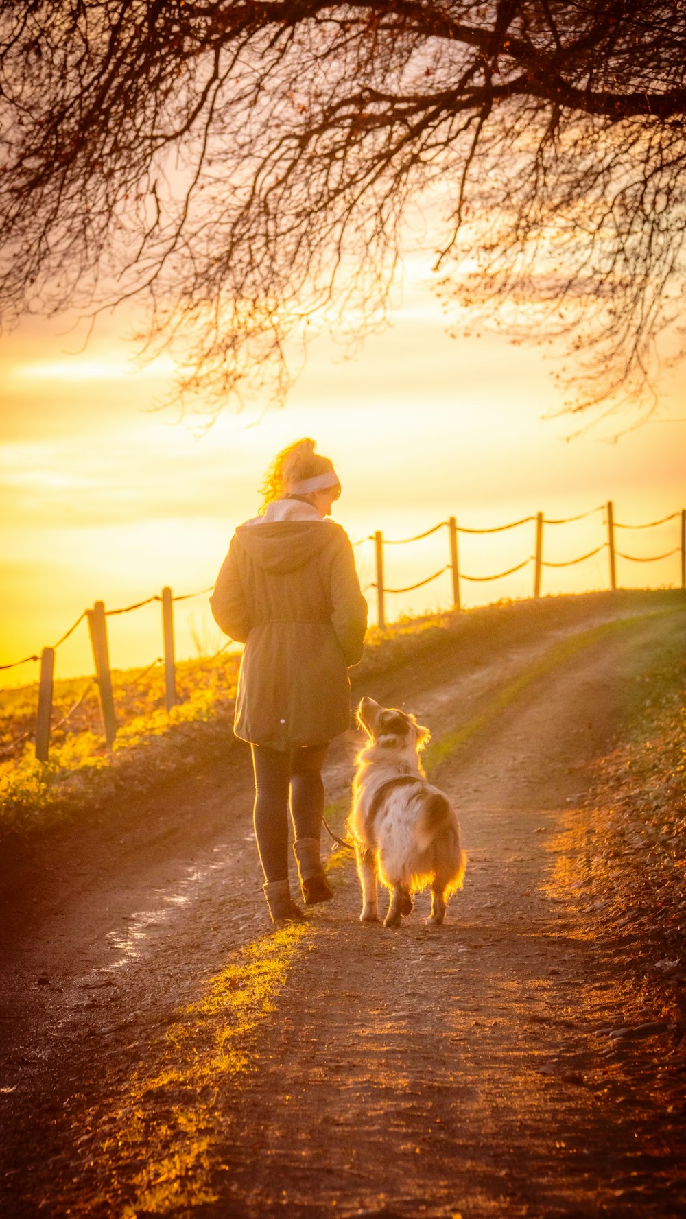 donna in cappotto marrone che tiene il cane bianco sulla strada sterrata marrone durante il tramonto