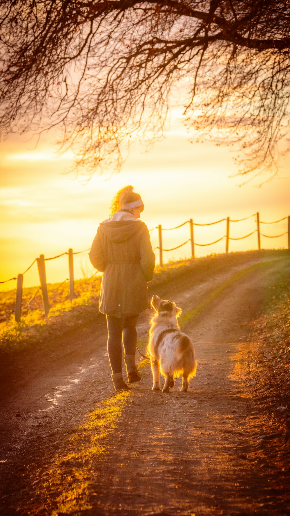 Mujer en abrigo marrón sosteniendo perro blanco en camino de tierra marrón durante la puesta del sol