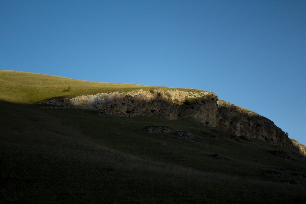 Campo de hierba verde bajo el cielo azul durante el día