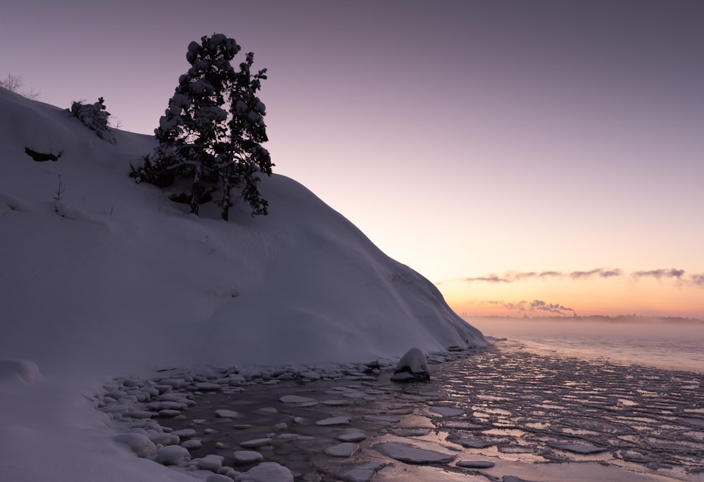 green tree on white snow covered mountain during daytime