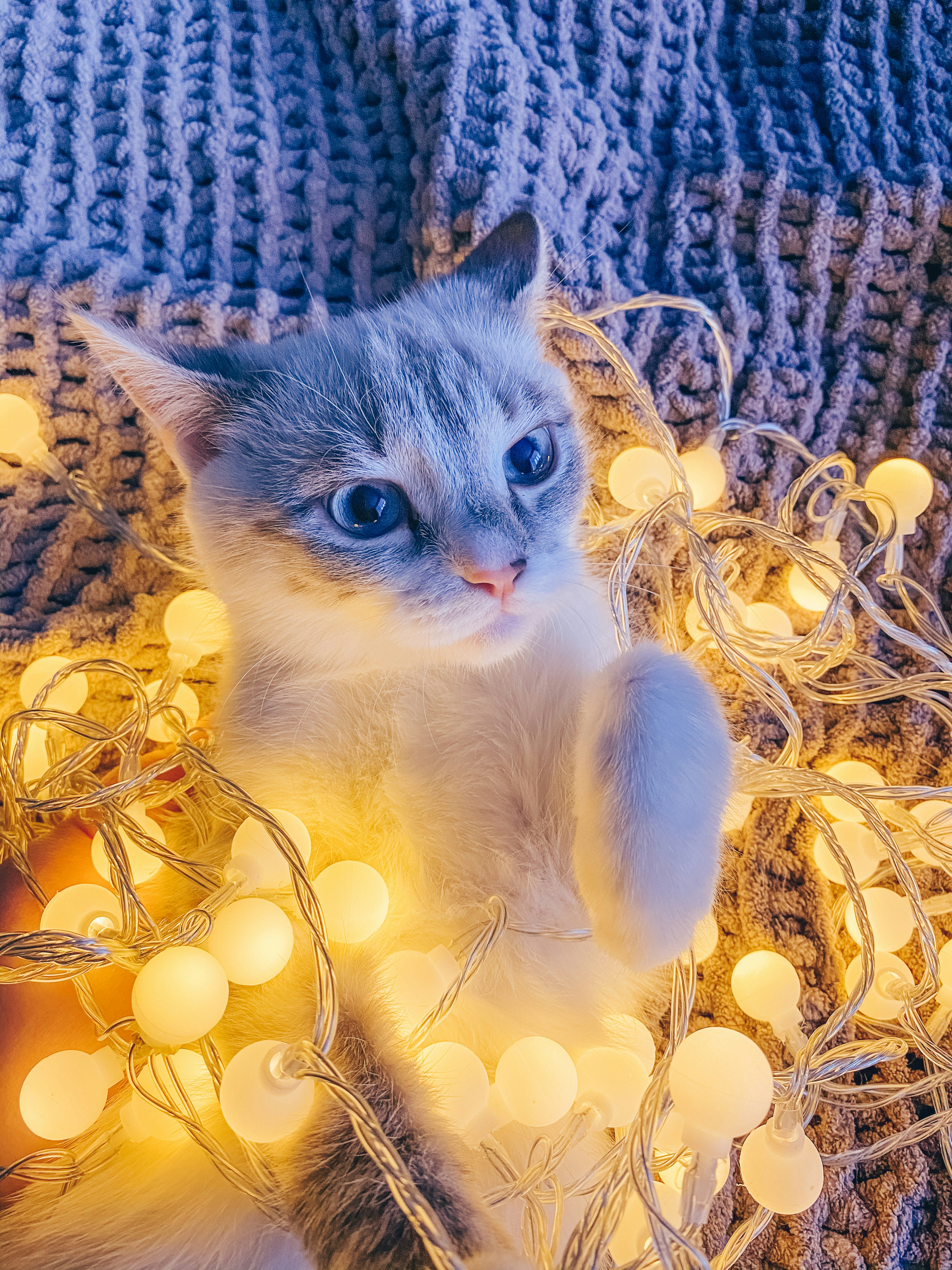 Reserva tu cita fácil