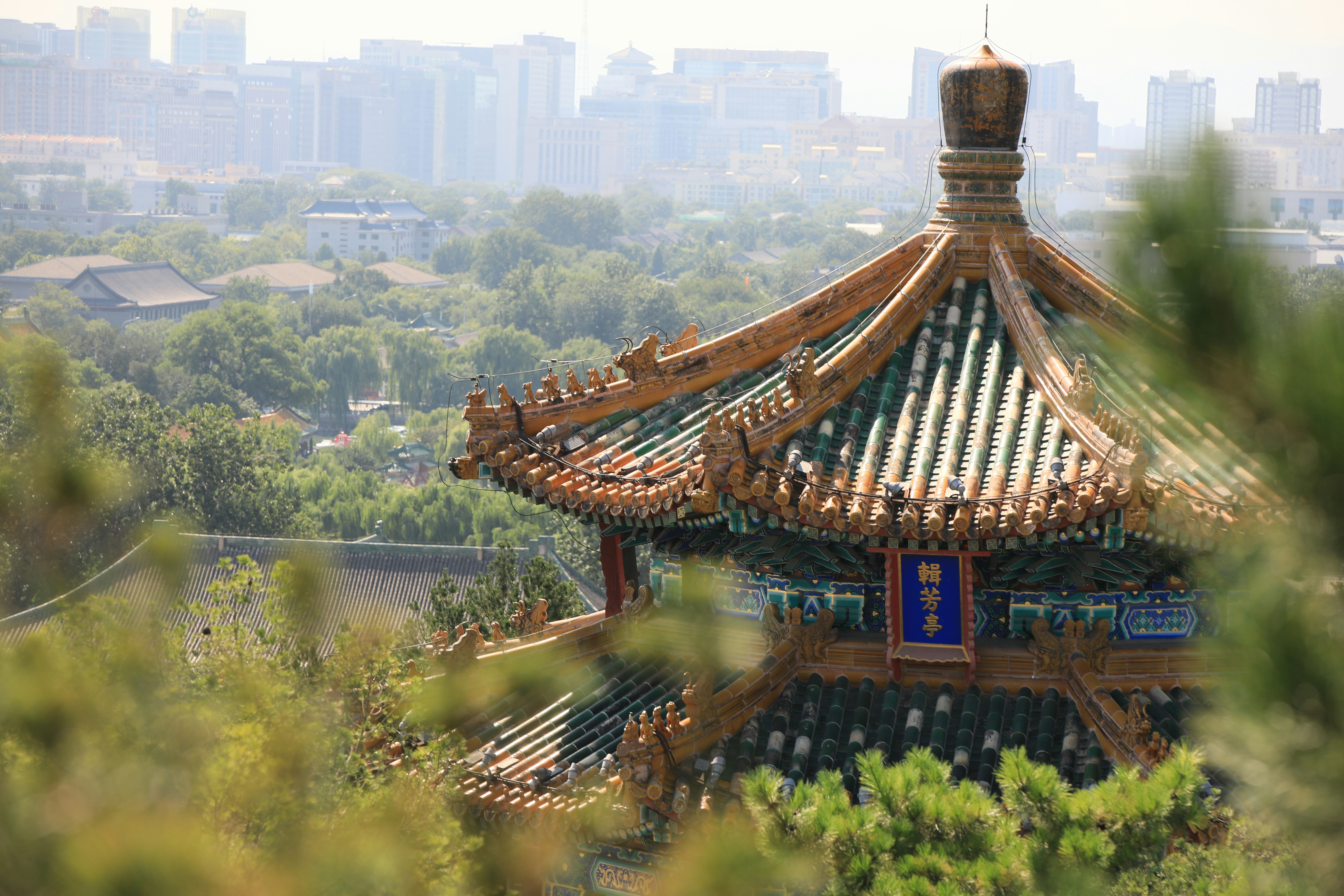 صورة المعرض