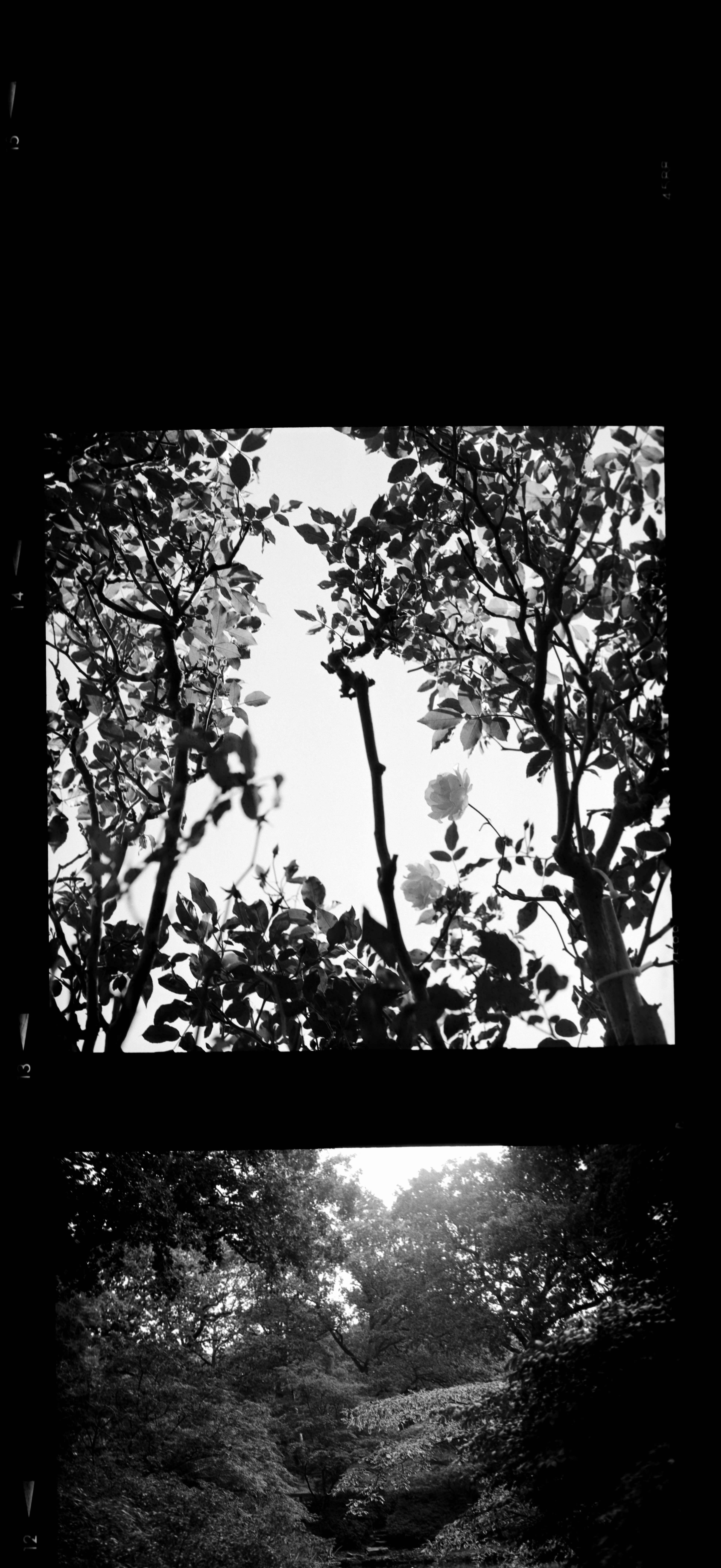 Photo by anniespratt