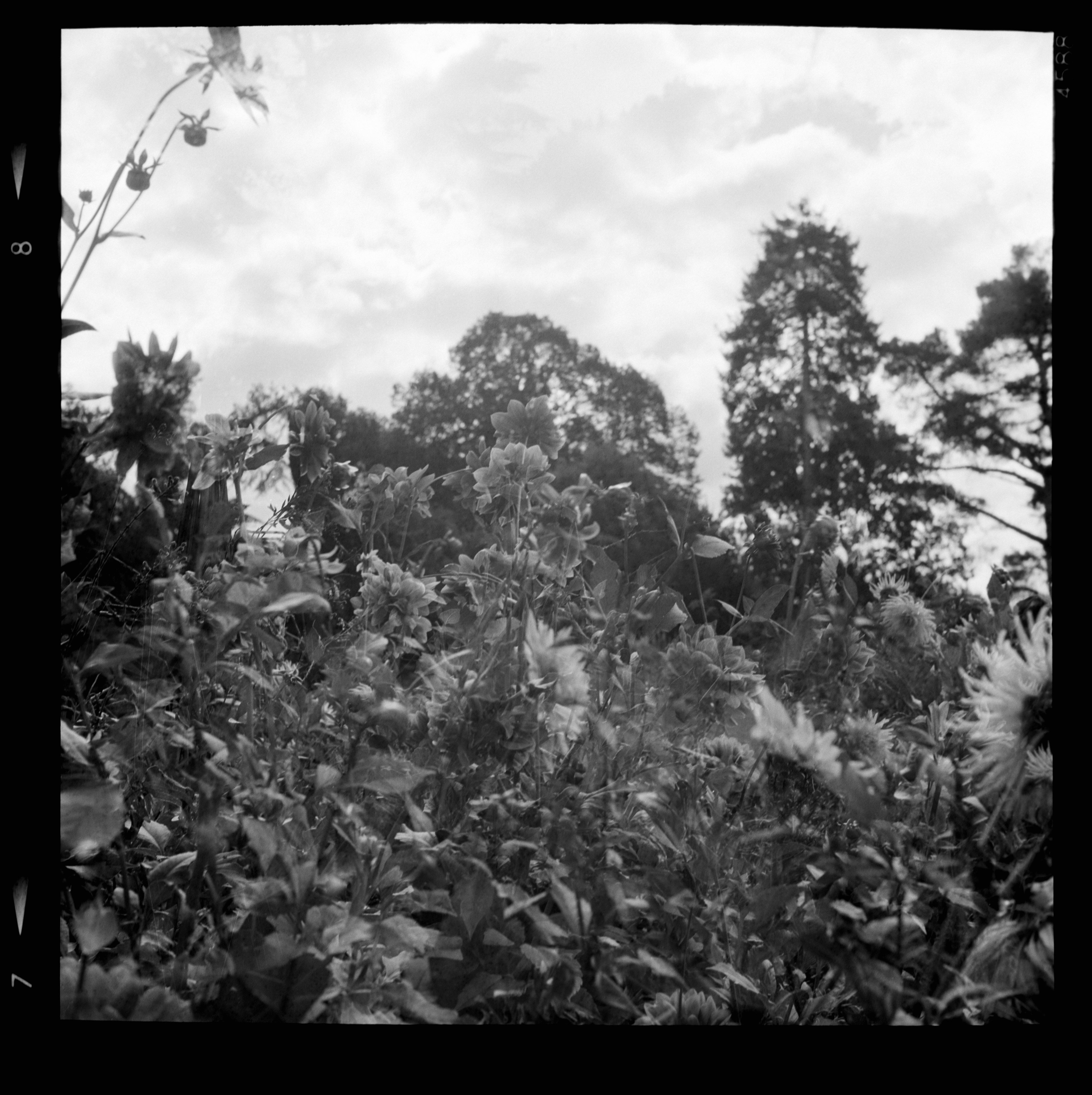 Photo by anniespratt