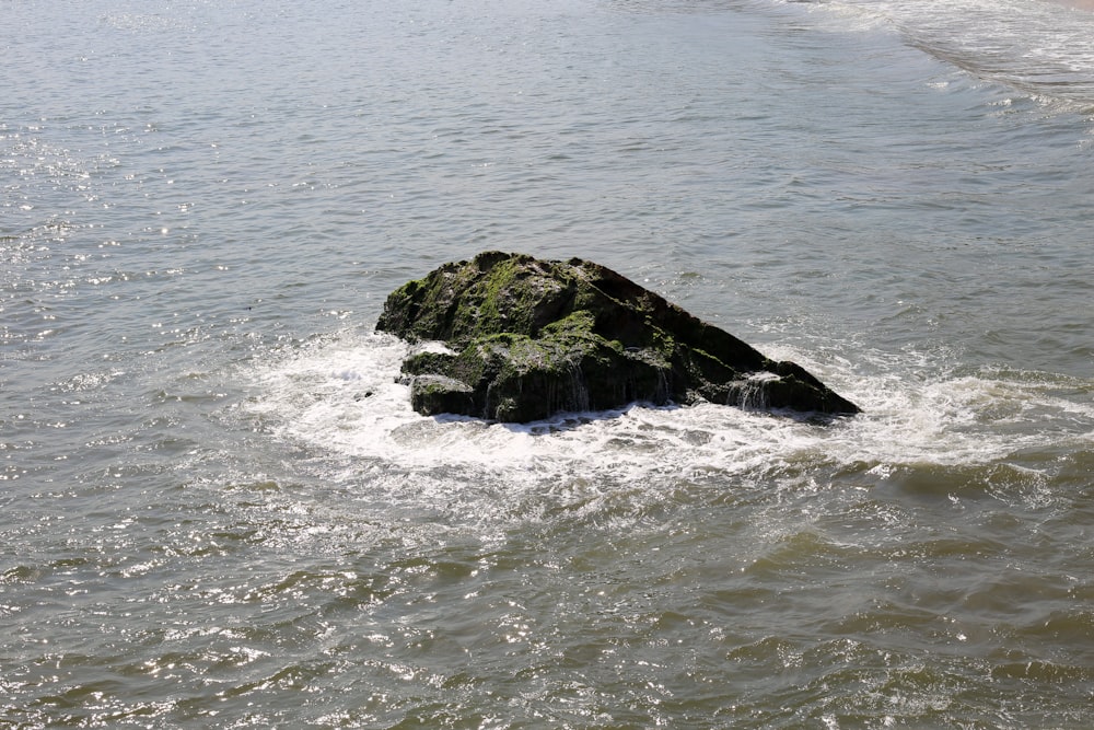 brown rock formation on sea during daytime