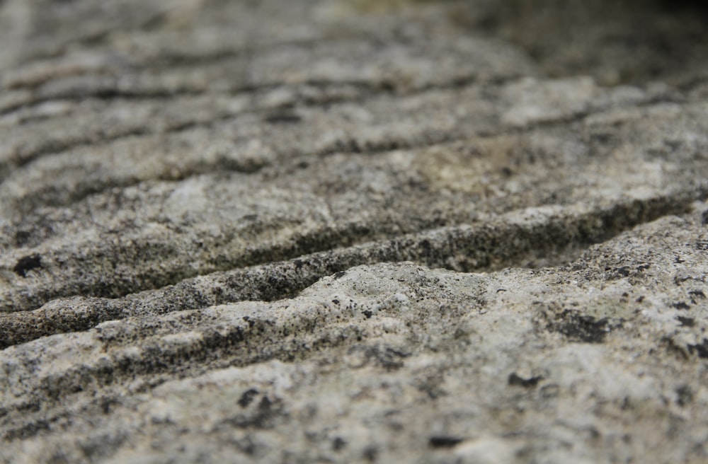 brown and black concrete pavement