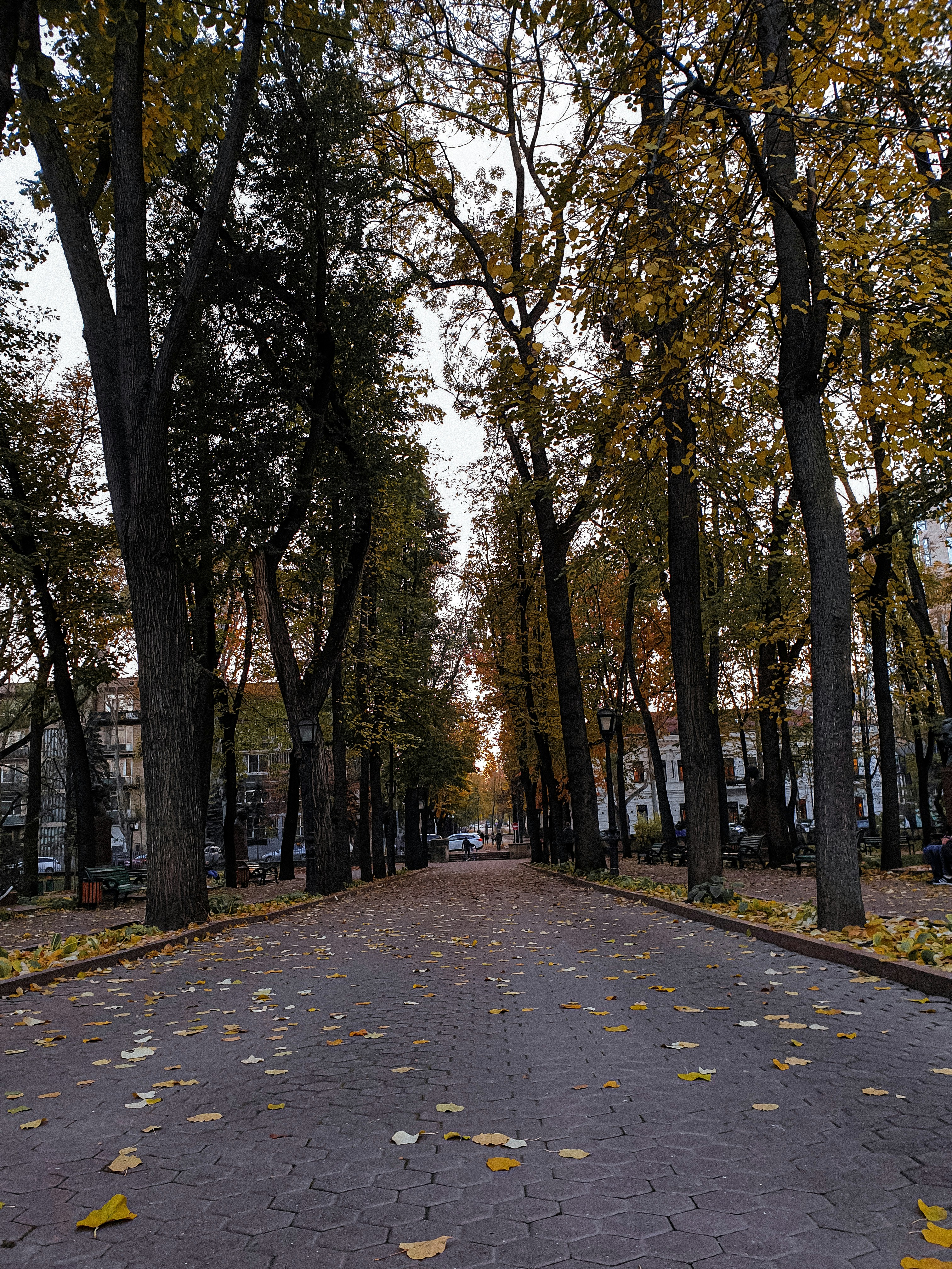 Photo by nasteagangal