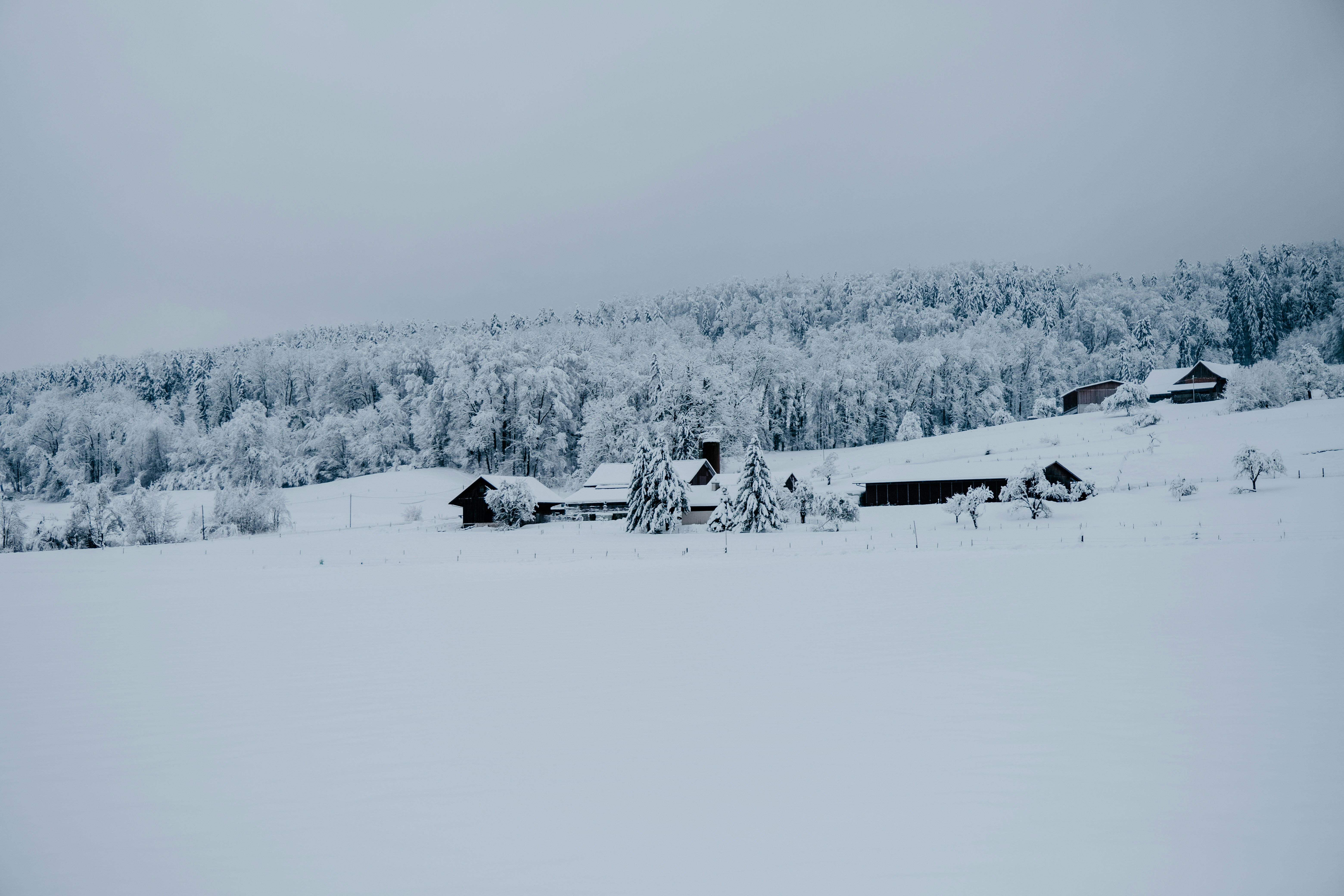 people on snow covered field during daytime