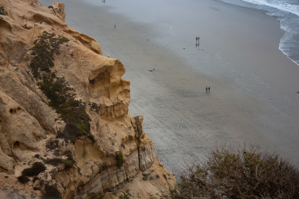 people on beach during daytime