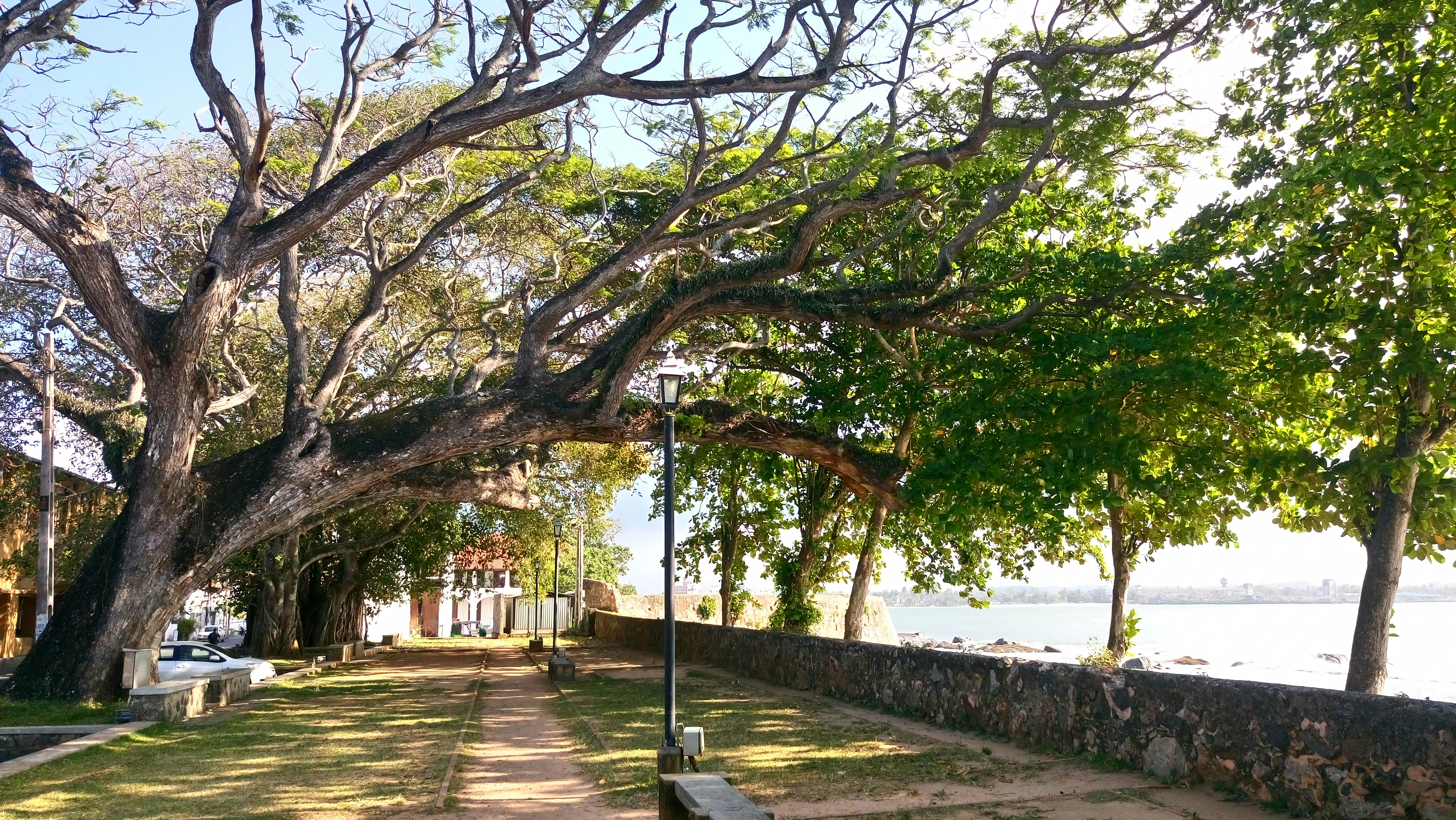 green trees on sidewalk during daytime, Morning walk in the Dutch Fortress