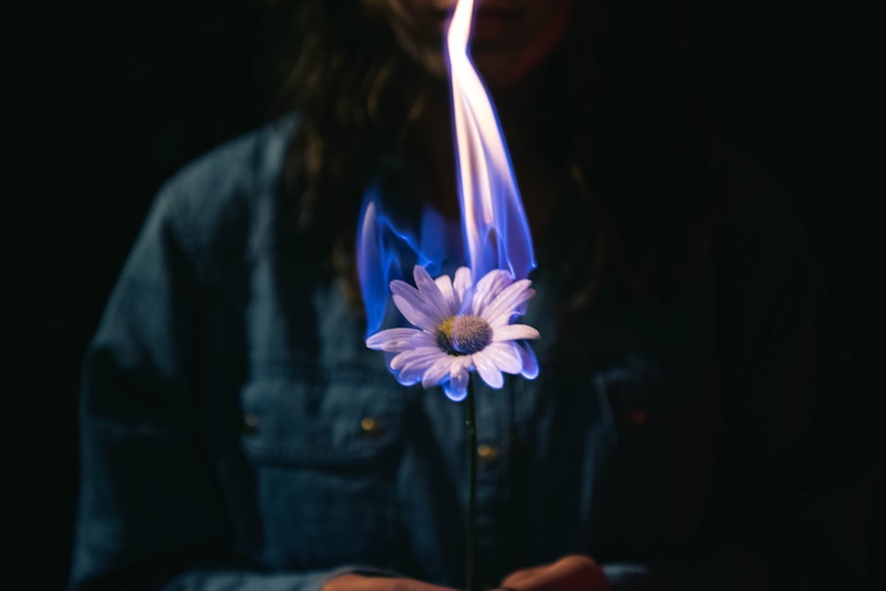 woman in blue denim jacket holding purple flower